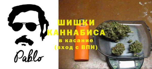 амф Новокубанск