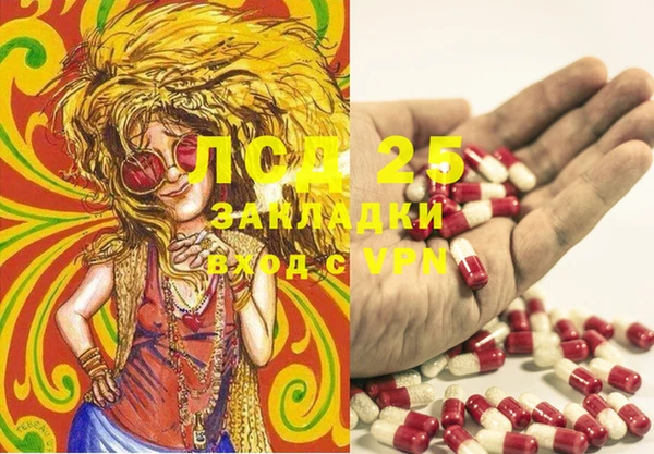 амф Новокубанск