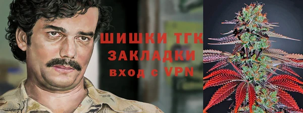 амф Новокубанск