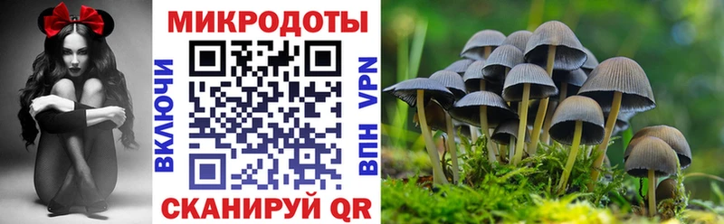Галлюциногенные грибы прущие грибы  Орехово-Зуево 